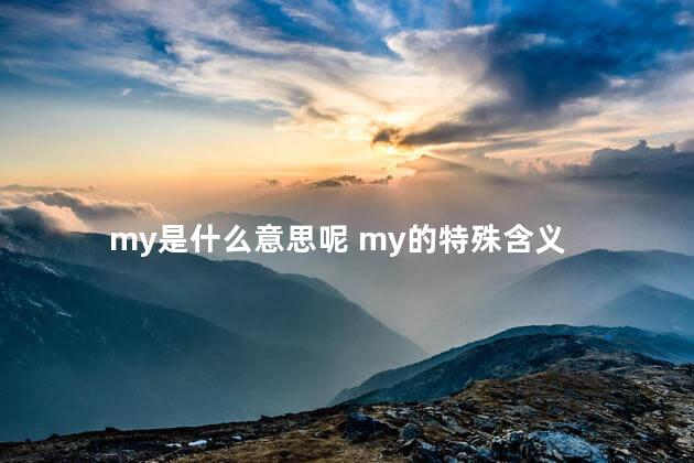 my是什么意思呢 my的特殊含义